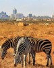 Private tour in Nairobi