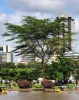 Private Guide in Nairobi