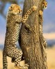Private tour in Nairobi