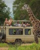 Safari in Nairobi