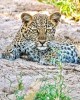 Private tour in Nairobi