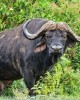 Adventure tour in Nairobi