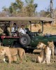 Safari in Nairobi