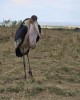 Adventure tour in Nairobi