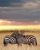 Adventure tour in Nairobi