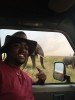 Sundowner Game Drive, Narok, Maasai Mara National Reserve
