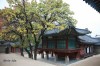 Changdeokgung Palace, Seoul, Central Seoul