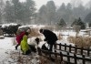 Winter @ nami nara, Chuncheon, Nami island