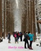 Sightseeing Nature tour in Chuncheon