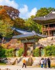 Culture and History tour in Seoul