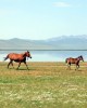 Tour in Kyrgyzstan