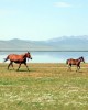 Trekking tour in Bishkek