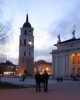 Excursion in Vilnius