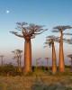 Tour in Madagascar