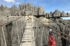 Climb and hike with local guide through Tsingy Bemaraha, Morondava, Tsingy Bemaraha park