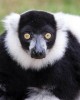 Eco and Wildlife tour in Antananarivo