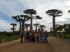 Tsingy tour 04 days, Morondava, Avenue of Baobabs