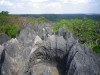 Limestone forest, Morondava, Tsingy de Bemaraha