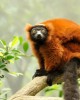 Tour in Madagascar
