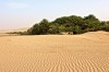 Chinguitty desert  -  Tours in Mauritania, Chinguetti