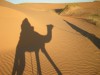 Trekking in desert in Mauritania, Chinguetti