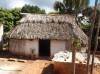 Mayan House, Merida, State of Yucatan