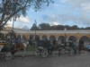 Horse Carruages at Izamal Magical Town, Isamal, State of Yucatan