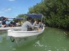 Wild Life at Celestun Natural Reserve, Selestun, Celestun Natural Reserve, Yucatan