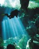 Cavern Diving in Playa del Carmen, Mexico