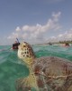 Eco and Wildlife tour in Cancun