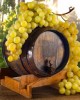 Wine tasting tour in Chisinau