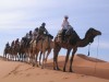 CAMEL EXCUSRION  SUN RISE AND OVER NIGHT BERBERCAMP, Merzouga, ERG CHIBBI