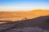 DESERT CARAVAN  FOR SAN SET TOUR, Merzouga, ERG CHIBBI