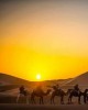 Sahara Desert Tours 4 Days / 3 Nights