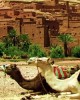 Private tour in Marrakech