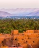 Culture and History tour in Meknes