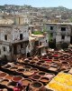 Private tour in Fez