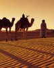 Travel Agency in Meknes