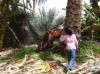 Misfat Al Abryeen - donky and girl, Nizwa