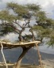 Adventure tour in Al Hamra