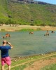 Safari in Salalah