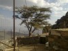 Bedouin housw at Jebel Shams, Nizwa