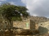 Bedouin house at Jebel Shams 1, Nizwa