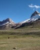 Trekking tour in Islamabad