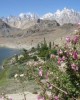 Private tour in Hunza