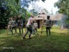 ., Port Moresby