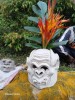 ., Port Moresby