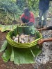 Traditional ground oven cooking with hot stones, Goroka, Asaro Village