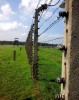 Brzezinka, Auschwitz-Birkenau, Birkenau barbed wire