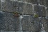 , Sintra